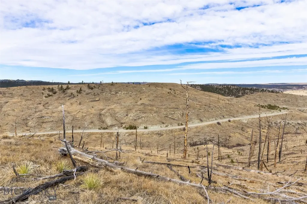 Tbd Coyote Pass Columbus MT 59019