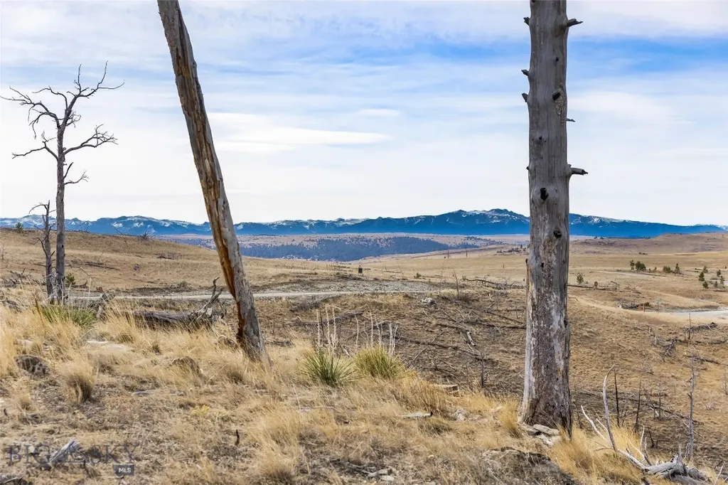 Tbd Coyote Pass Columbus MT 59019