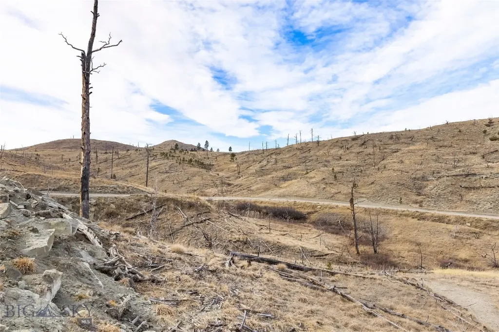Tbd Coyote Pass Columbus MT 59019