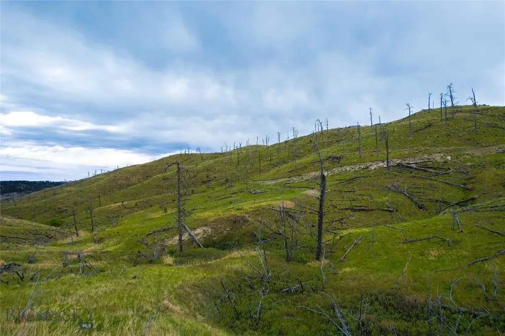 Tbd Coyote Pass Columbus MT 59019
