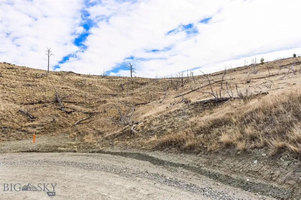 Tbd Coyote Pass Columbus MT 59019
