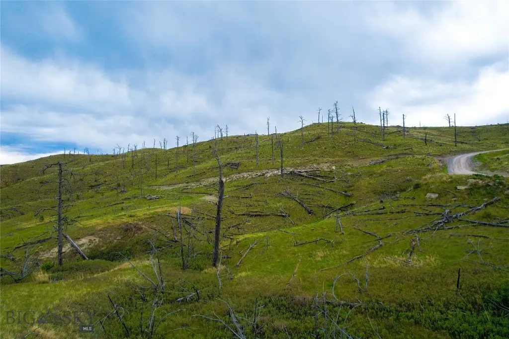 Tbd Coyote Pass Columbus MT 59019