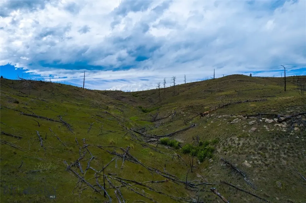 Tbd Coyote Pass Columbus MT 59019