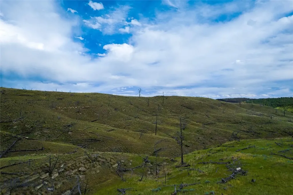 Tbd Coyote Pass Columbus MT 59019