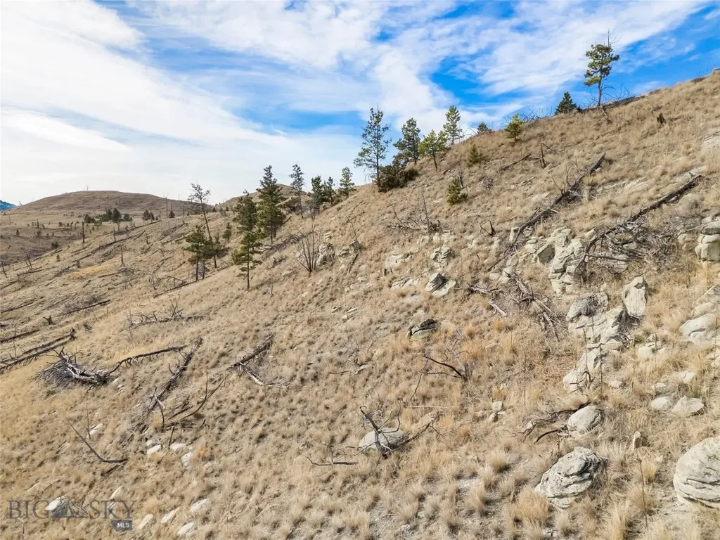 Tbd Coyote Pass Columbus MT 59019