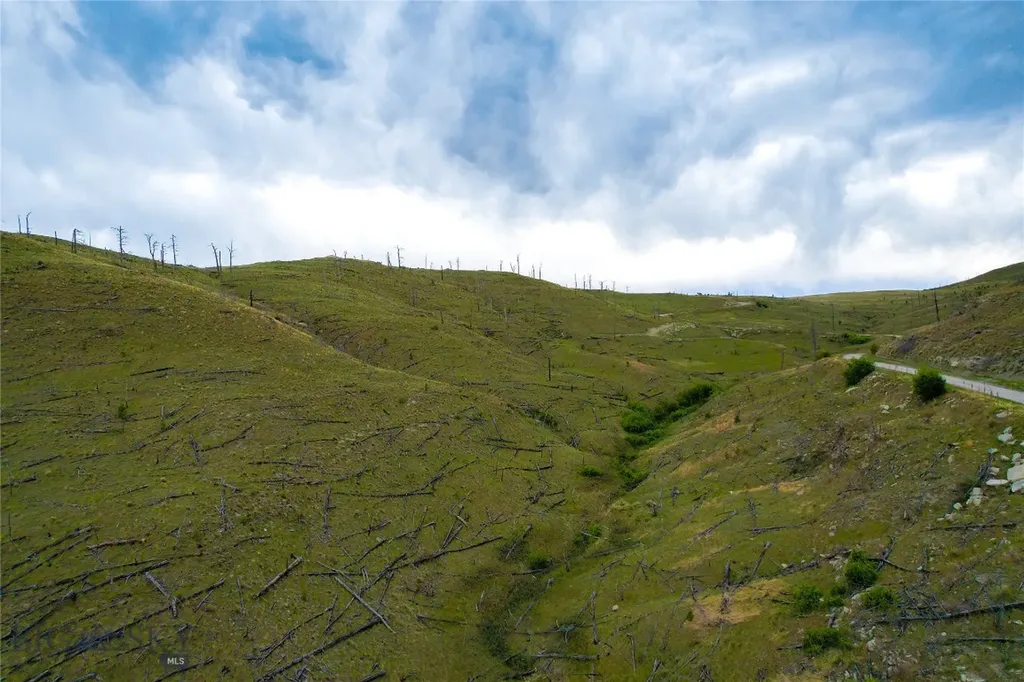 Tbd Coyote Pass Columbus MT 59019
