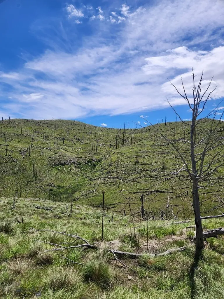 Tbd Coyote Pass Columbus MT 59019
