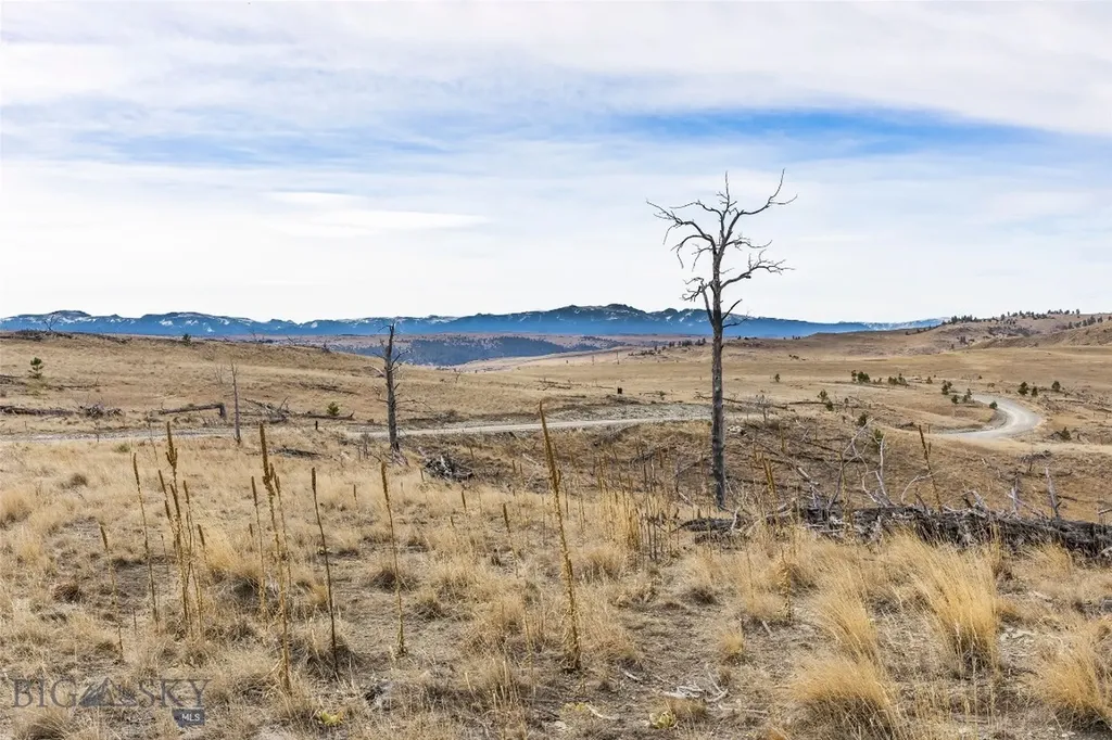 Tbd Coyote Pass Columbus MT 59019