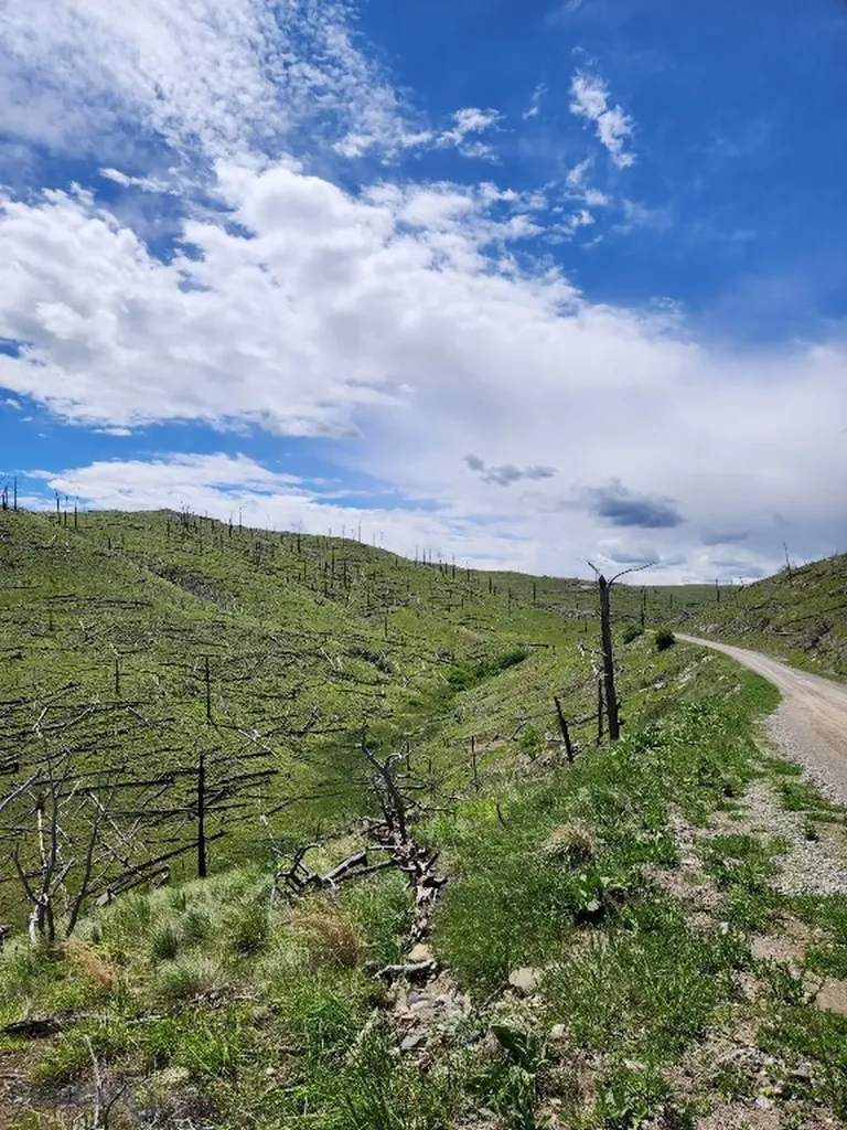 Tbd Coyote Pass Columbus MT 59019