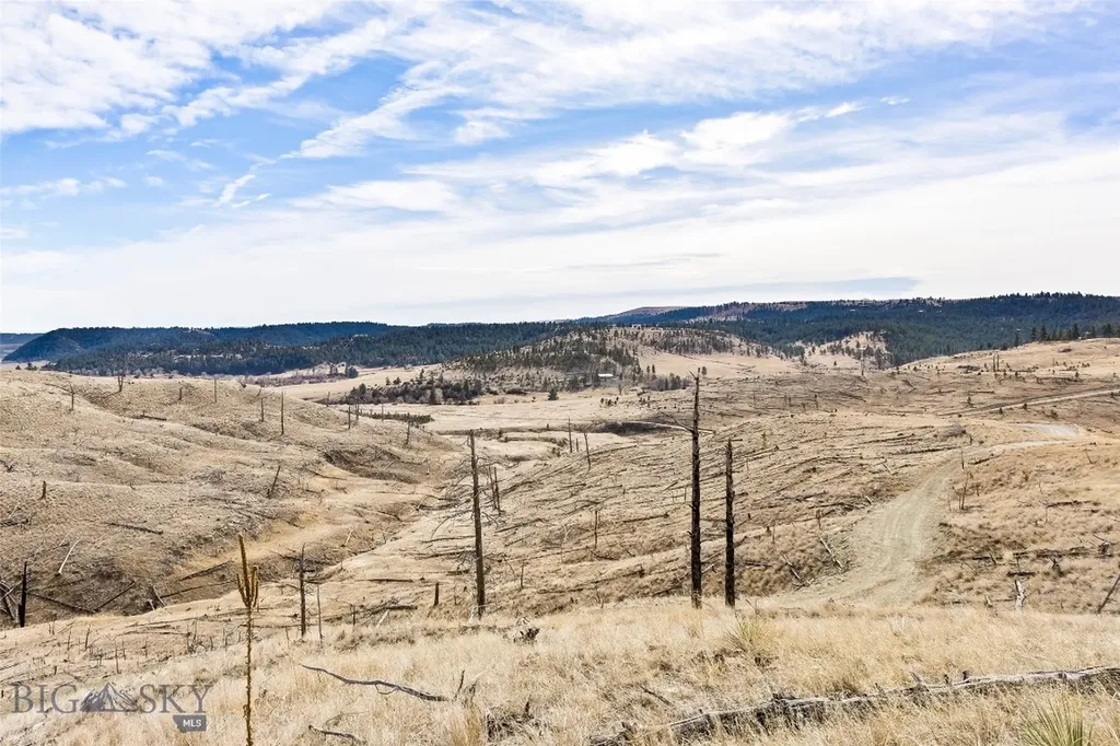 Tbd Coyote Pass Columbus MT 59019