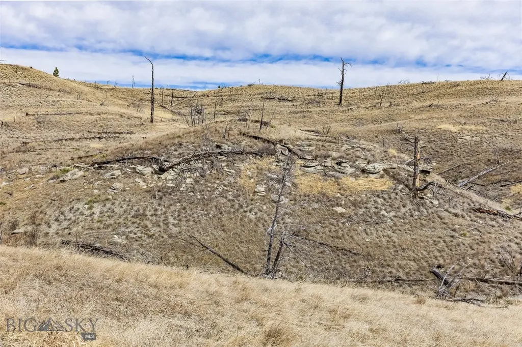 Tbd Coyote Pass Columbus MT 59019