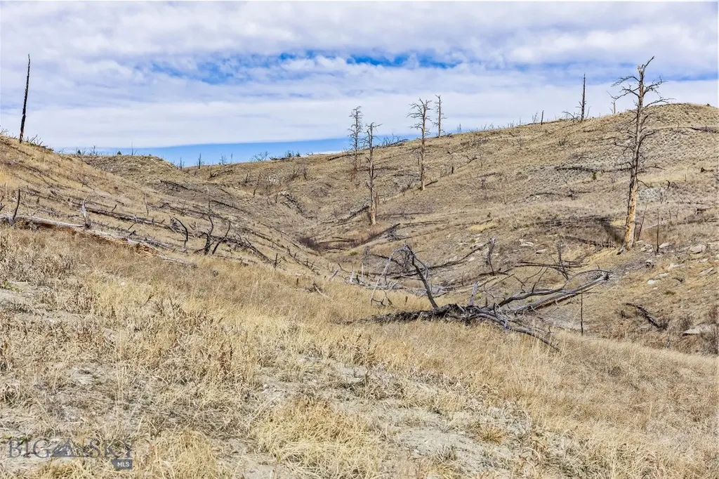 Tbd Coyote Pass Columbus MT 59019