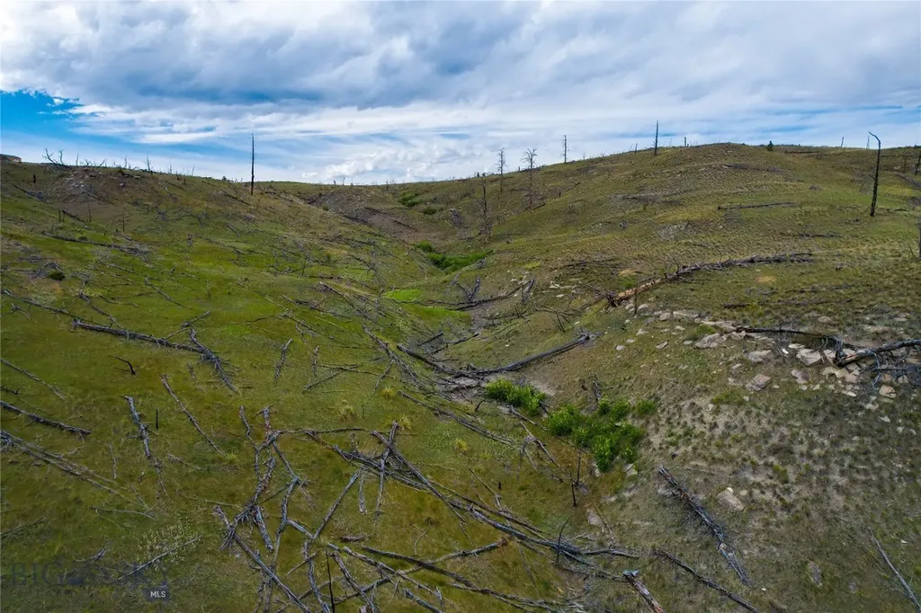 Tbd Coyote Pass Columbus MT 59019