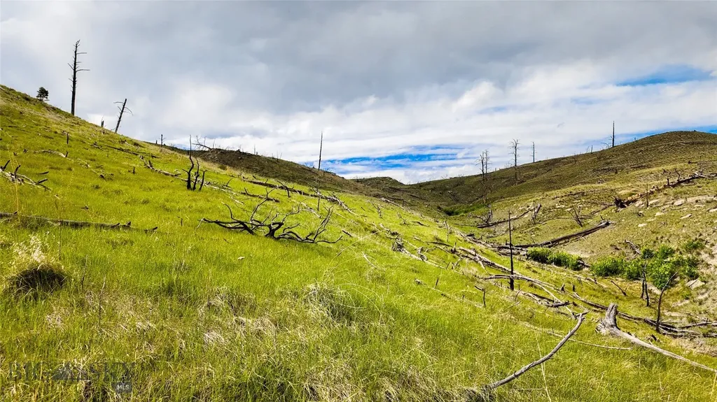 Tbd Coyote Pass Columbus MT 59019