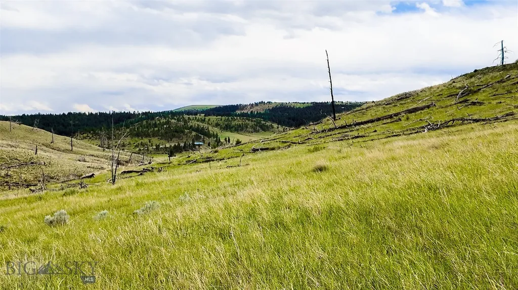 Tbd Coyote Pass Columbus MT 59019