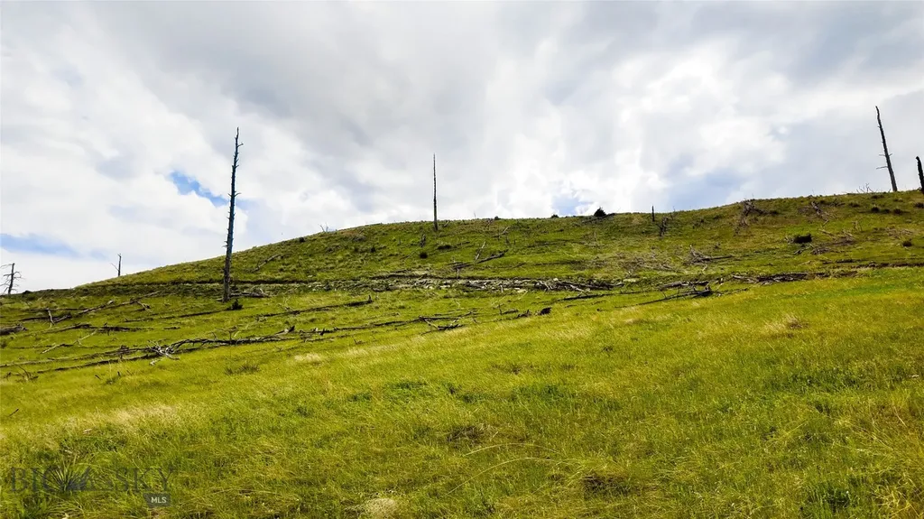 Tbd Coyote Pass Columbus MT 59019
