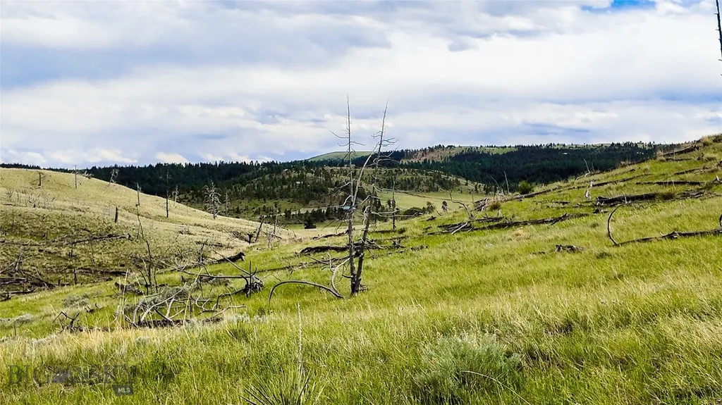 Tbd Coyote Pass Columbus MT 59019