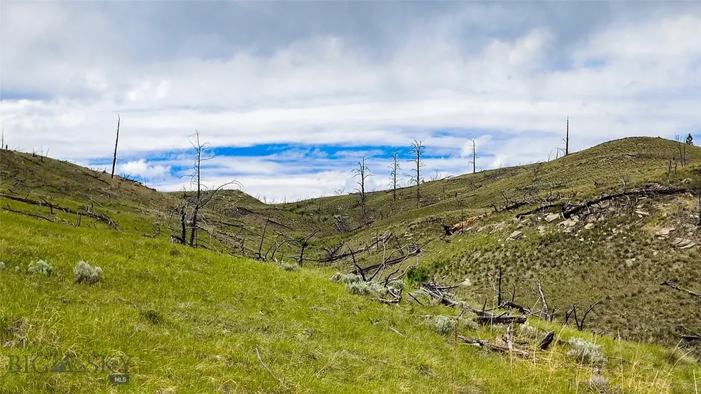 Tbd Coyote Pass Columbus MT 59019