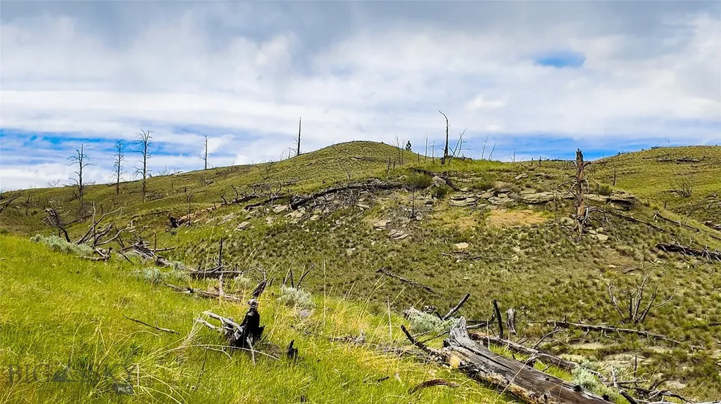 Tbd Coyote Pass Columbus MT 59019