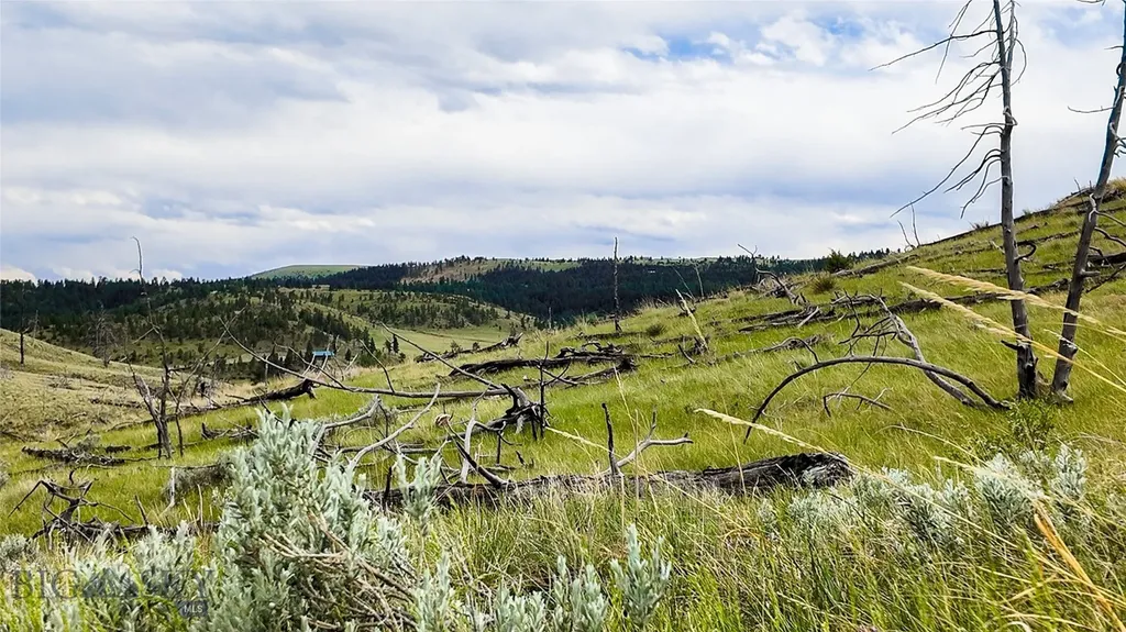 Tbd Coyote Pass Columbus MT 59019