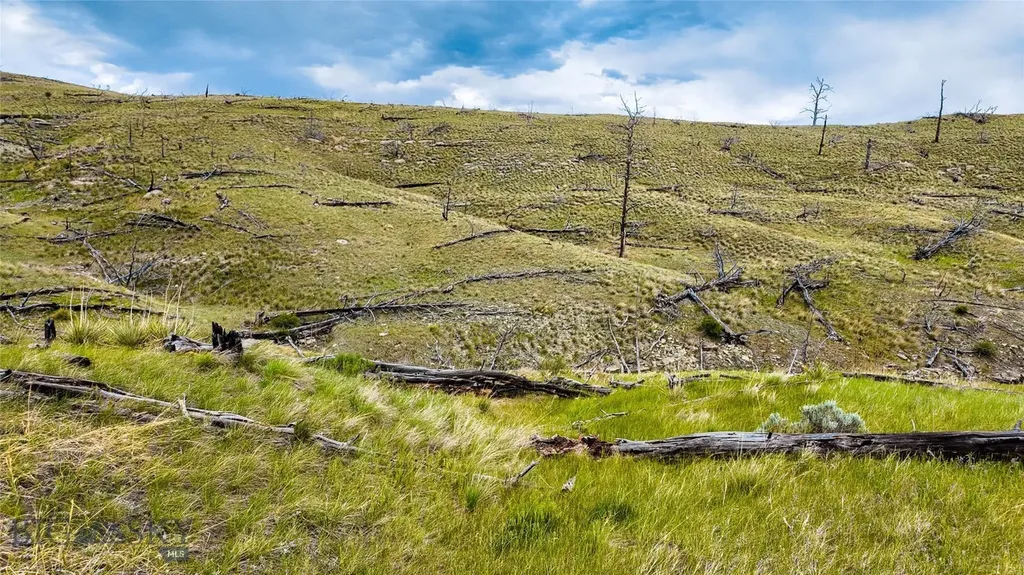 Tbd Coyote Pass Columbus MT 59019