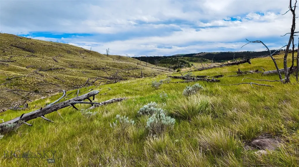 Tbd Coyote Pass Columbus MT 59019