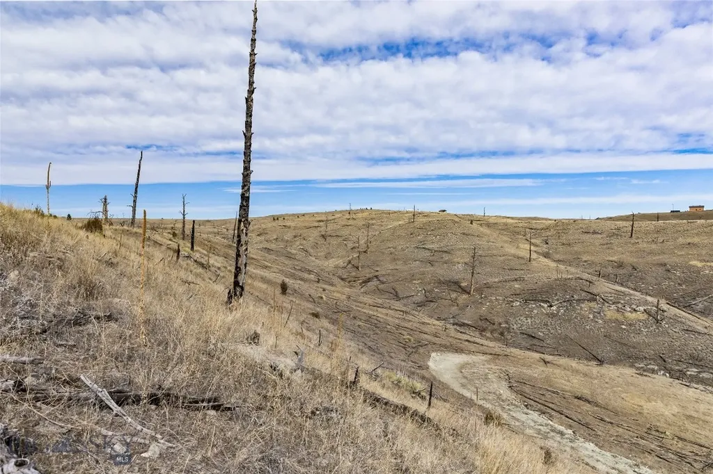 Tbd Coyote Pass Columbus MT 59019