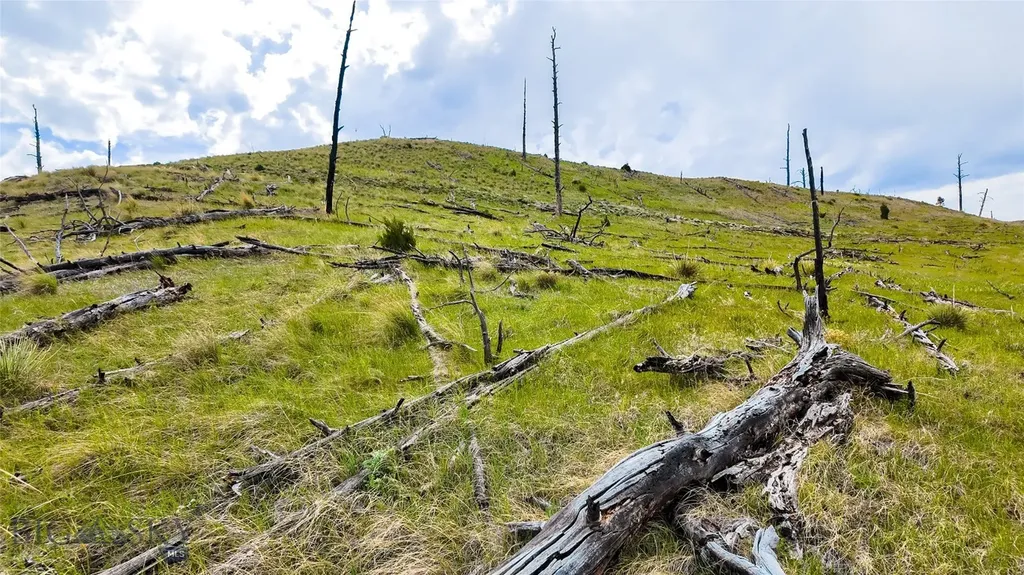 Tbd Coyote Pass Columbus MT 59019