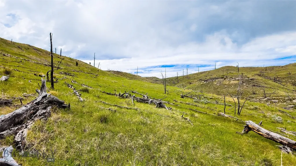 Tbd Coyote Pass Columbus MT 59019