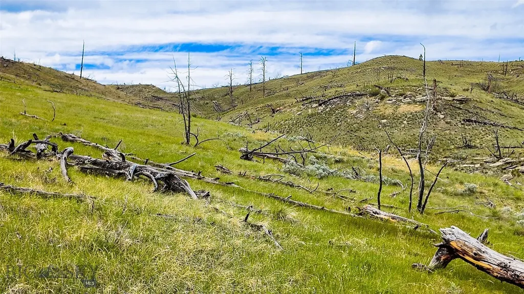 Tbd Coyote Pass Columbus MT 59019