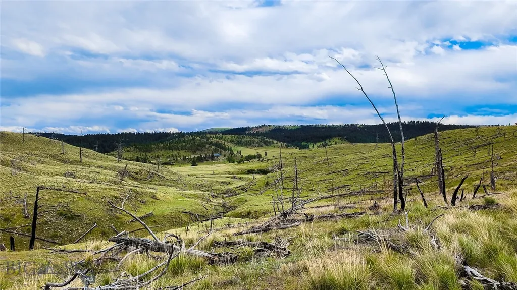 Tbd Coyote Pass Columbus MT 59019