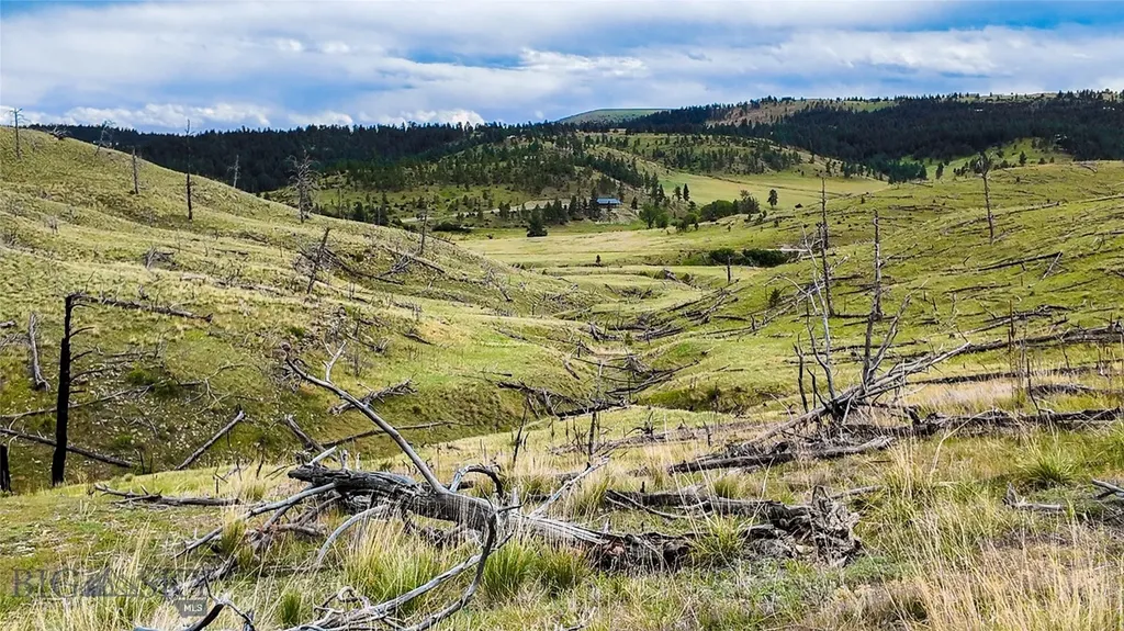 Tbd Coyote Pass Columbus MT 59019