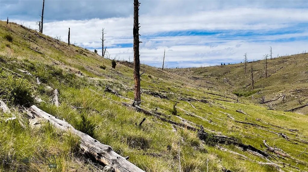 Tbd Coyote Pass Columbus MT 59019