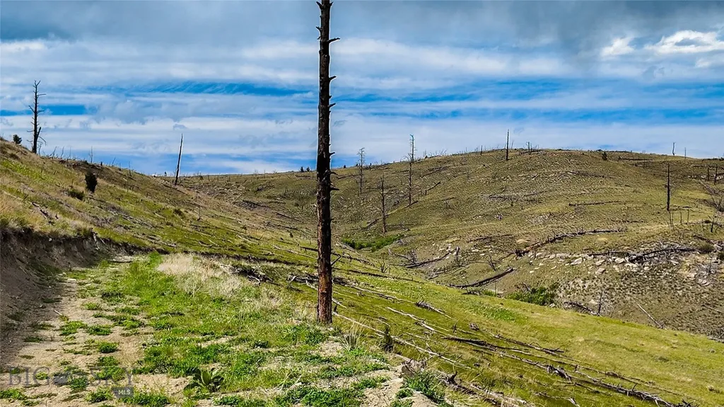Tbd Coyote Pass Columbus MT 59019