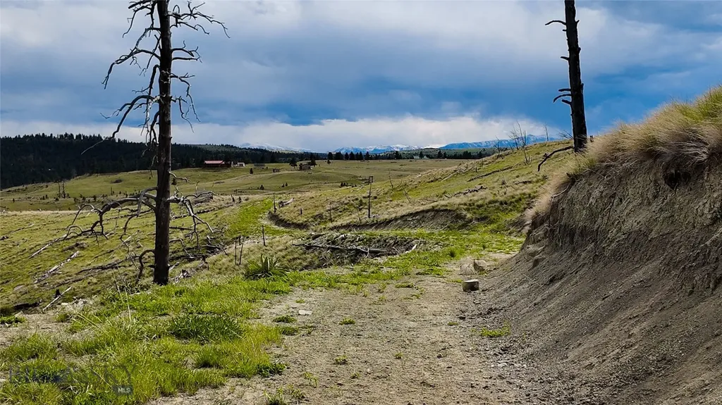 Tbd Coyote Pass Columbus MT 59019