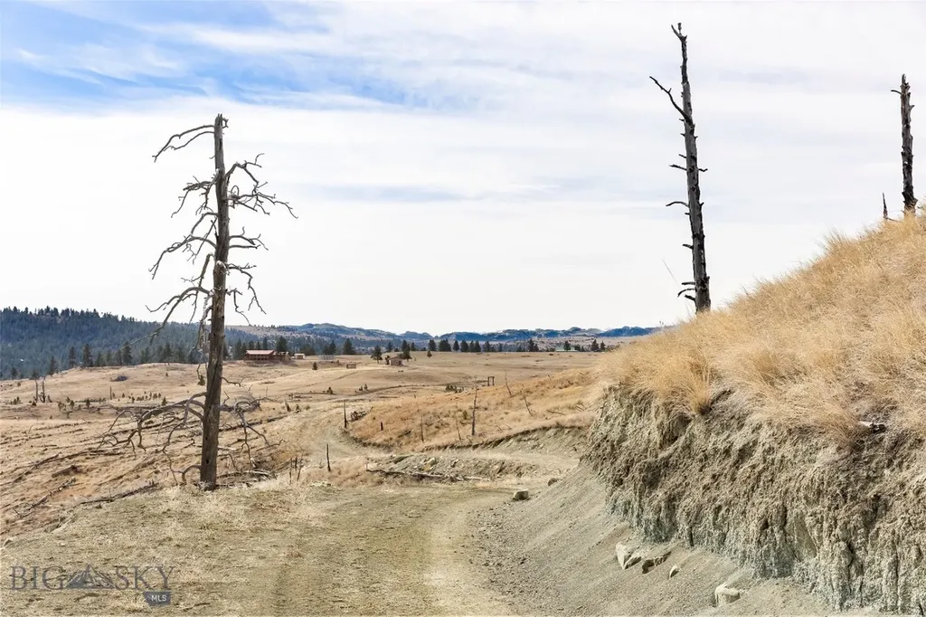 Tbd Coyote Pass Columbus MT 59019