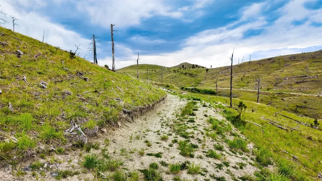 Tbd Coyote Pass Columbus MT 59019