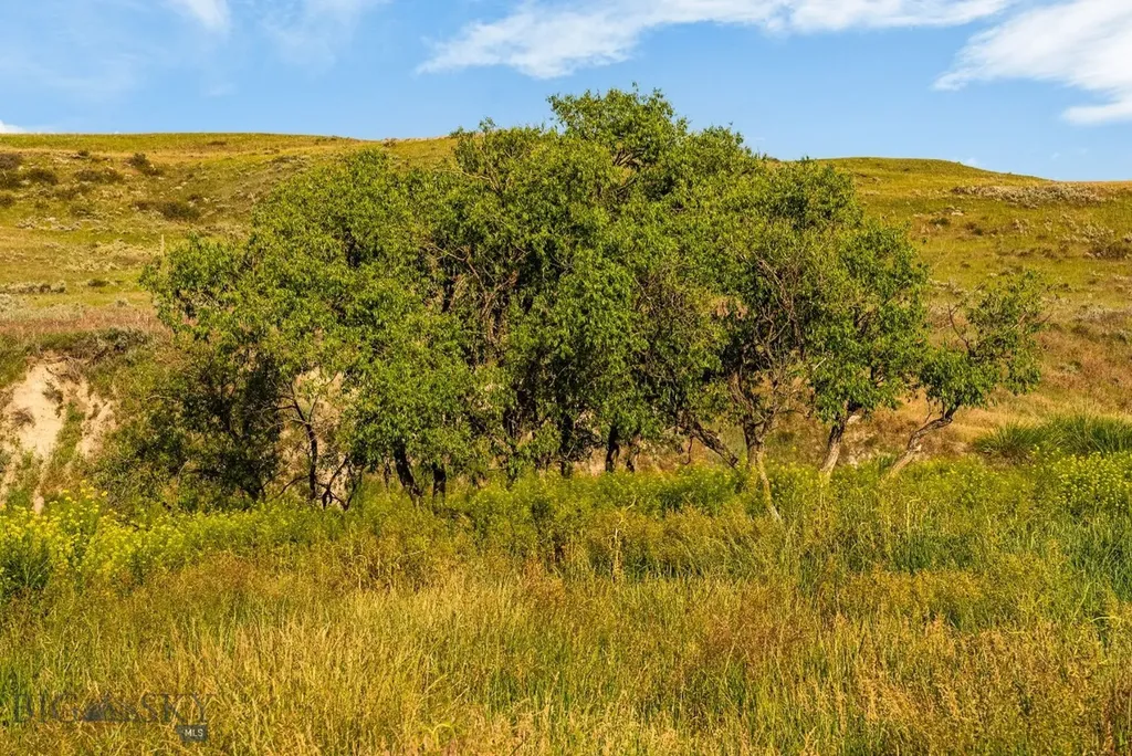 8200 Camp Creek Road Manhattan MT 59741
