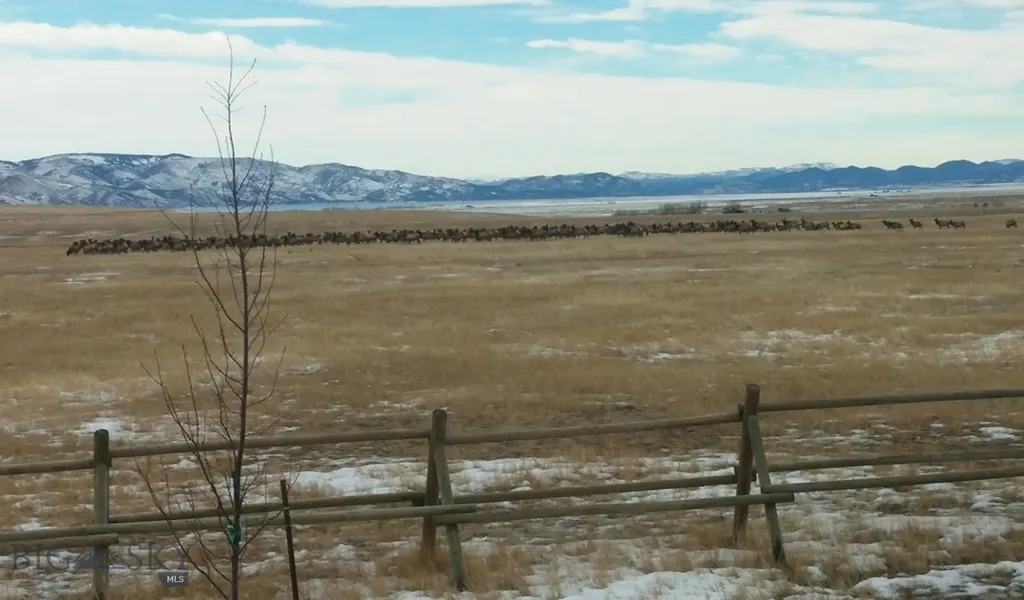 Townsend MT 59644