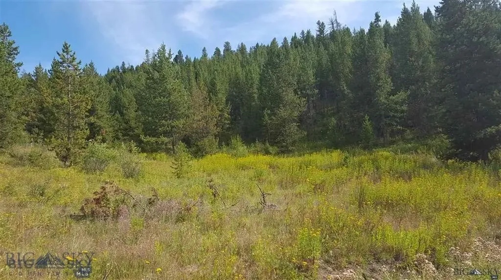 Tract 11 Mountain Moose Road Bozeman MT 59715