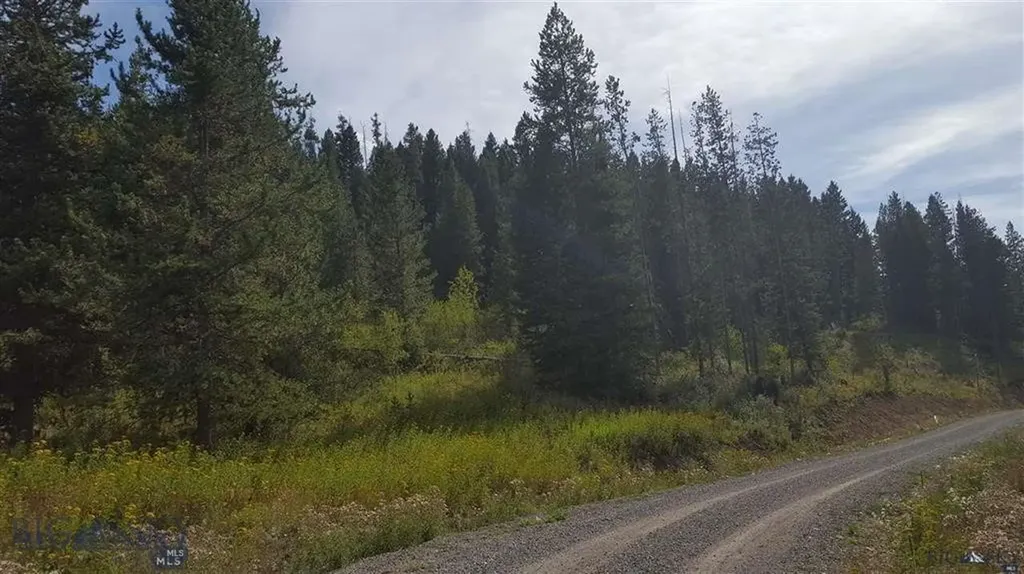 Tract 11 Mountain Moose Road Bozeman MT 59715