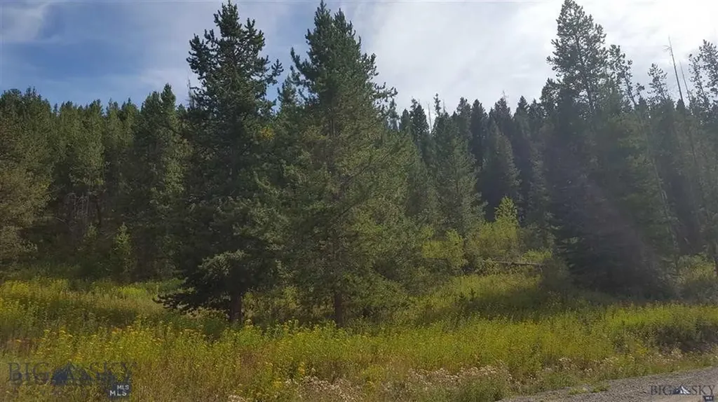 Tract 11 Mountain Moose Road Bozeman MT 59715