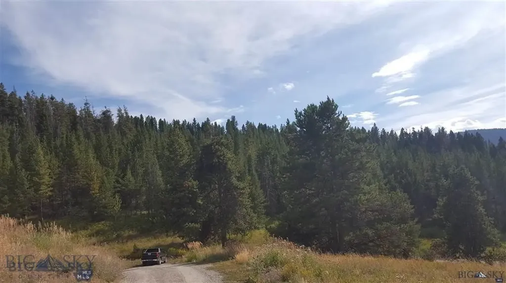 Tract 11 Mountain Moose Road Bozeman MT 59715