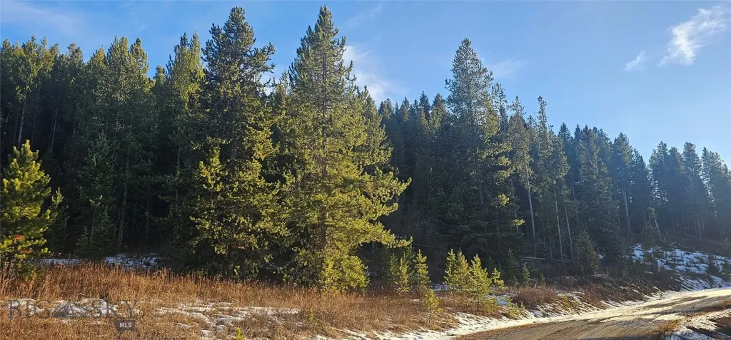 Tract 11 Mountain Moose Road Bozeman MT 59715
