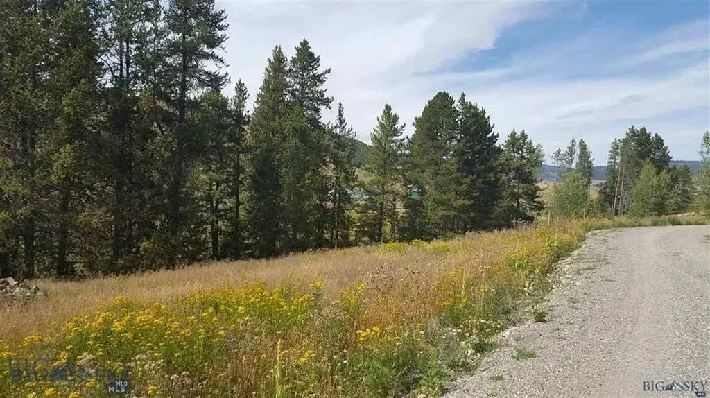 Tract 11 Mountain Moose Road Bozeman MT 59715