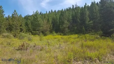 Tract 11 Mountain Moose Road Bozeman MT 59715