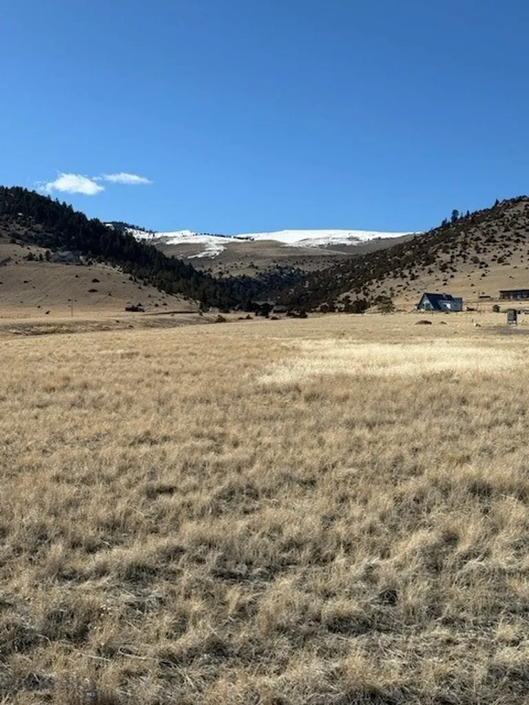 Lot 273 Shining Mountains 1 Ennis MT 59729