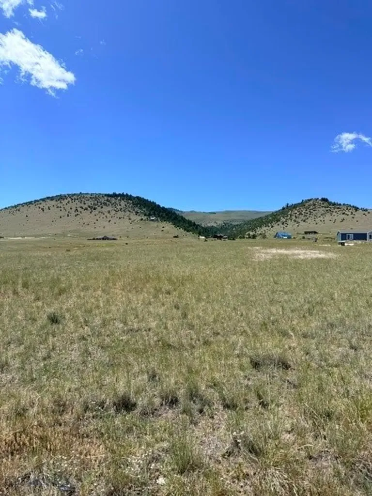 Lot 273 Shining Mountains 1 Ennis MT 59729