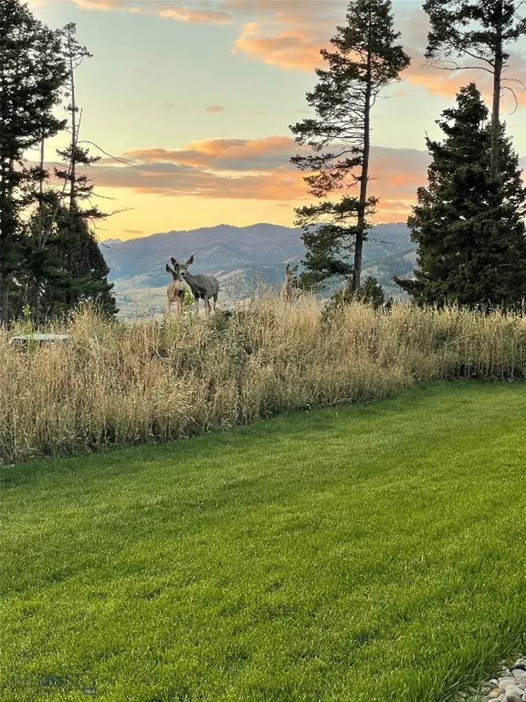 182 Elk Ridge Road Livingston MT 59047