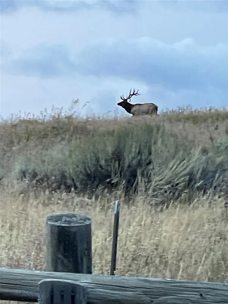 182 Elk Ridge Road Livingston MT 59047